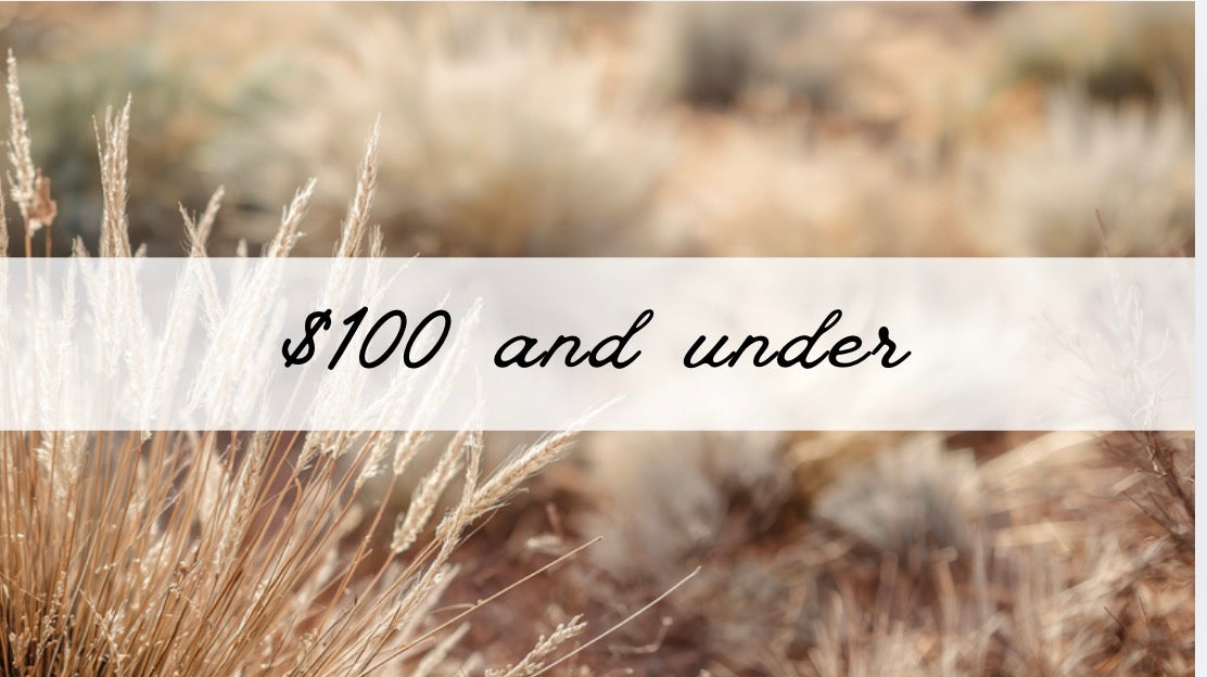 $100 and Under